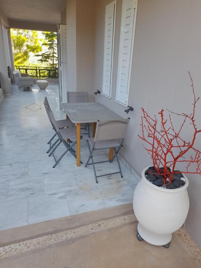 Suite With Garden Agia Marina  外观 照片