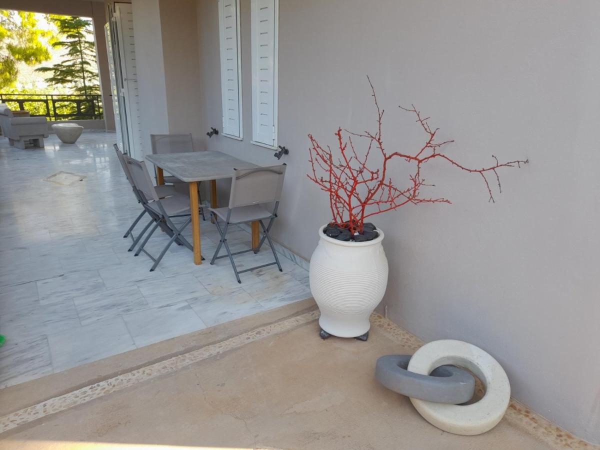 Suite With Garden Agia Marina  外观 照片