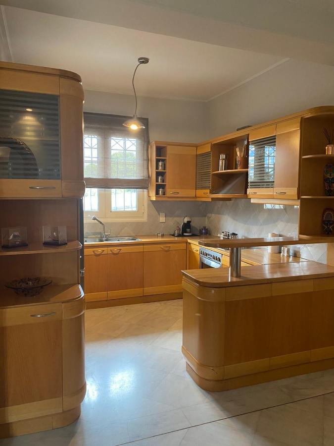 Suite With Garden Agia Marina  外观 照片